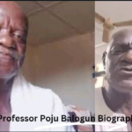 Professor Poju Balogun Biography