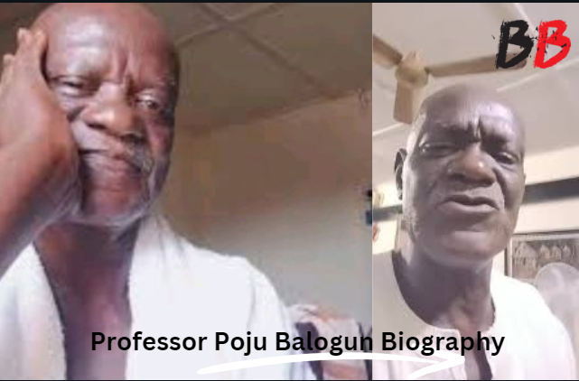 Professor Poju Balogun Biography